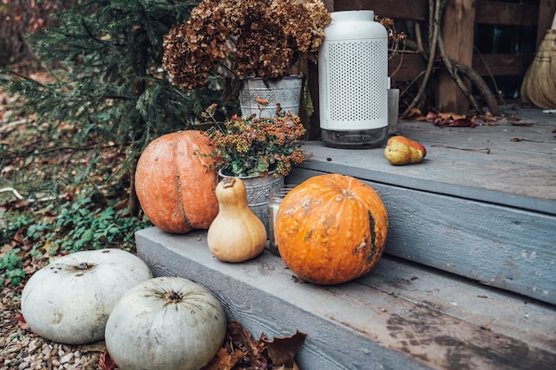 Decorazione autunnale del portico per feste di Halloween Vecchie zucche arancioni bouquet di foglie d'acero in vaso di metalloHomeoutdoortstreet decorintrattenimento per bambiniatmosfera horror