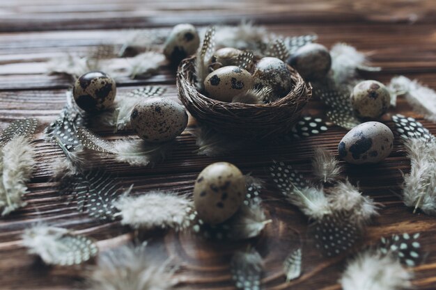 Decorazione con uova di quaglia, nido e piume.