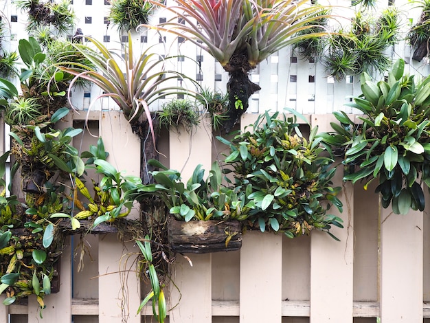 Decorazione da giardino verticale sul muro