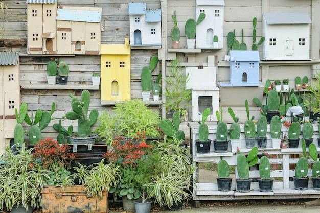 Decorazione del primo piano sulla vecchia parete di legno della casa dal cactus e dalla scatola in forma di casa