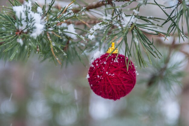 Decorazione dell'albero di Natale fatta della palla rossa del filato su pianta
