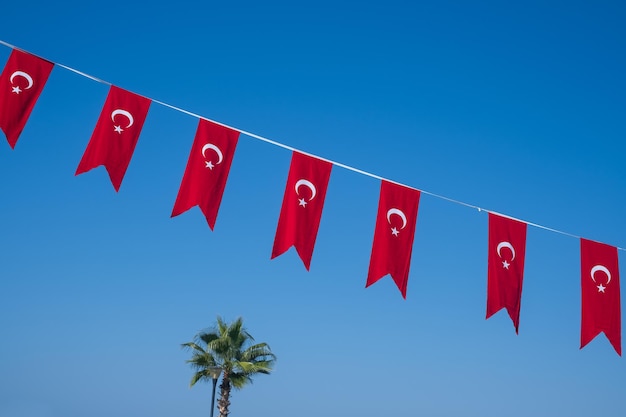 Decorazione della bandiera del tacchino rosso durante il giorno della repubblica