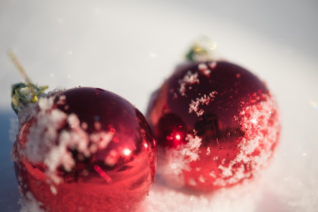 decorazione delle palle rosse di natale nella priorità bassa della neve fresca sulla bella giornata invernale di sole