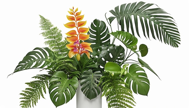 Decorazione di fiori tropicali con foglie di monstera e felci isolate su sfondo bianco