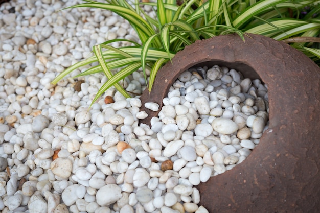 Decorazione di giardinaggio