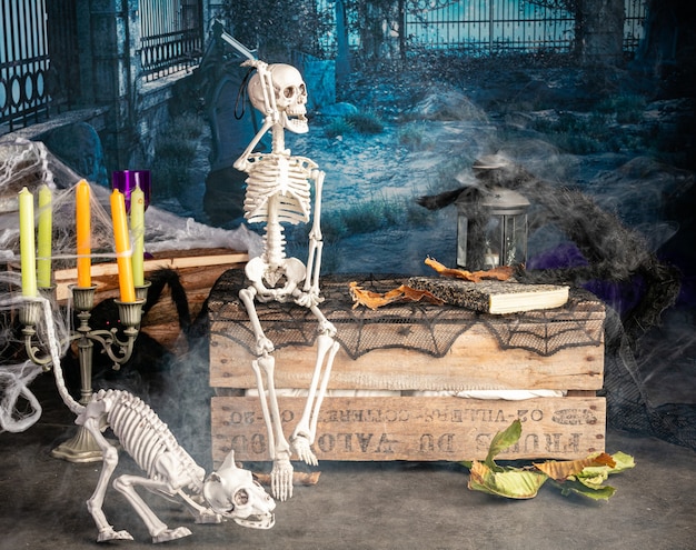 Decorazione di Halloween con scheletri e un ragno nero