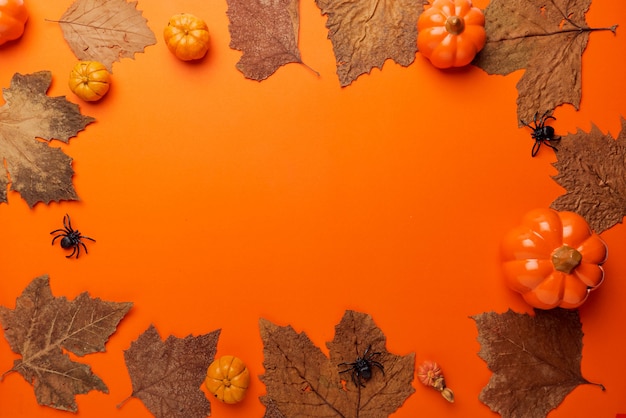 Decorazione di Halloween con zucche e fogliame