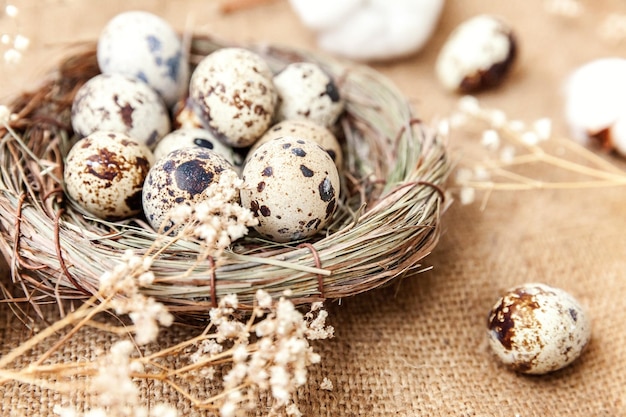 Decorazione di Pasqua con uovo nel nido e cotone su sfondo bianco marmo