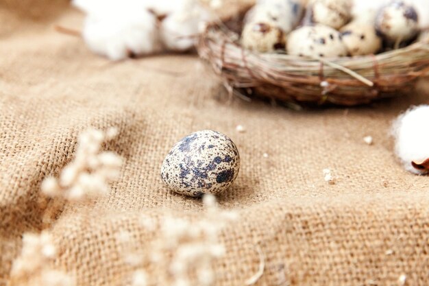 Decorazione di Pasqua con uovo nel nido e cotone su sfondo bianco marmo