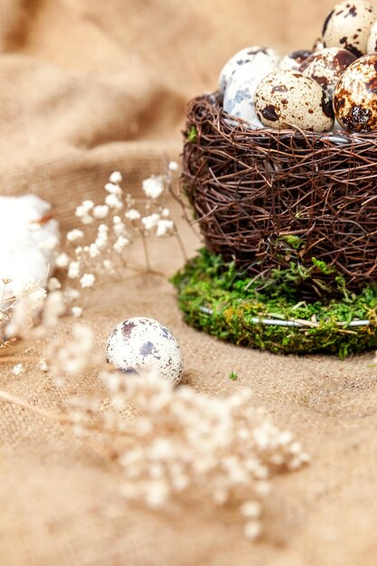 Decorazione di Pasqua con uovo nel nido e cotone su sfondo bianco marmo