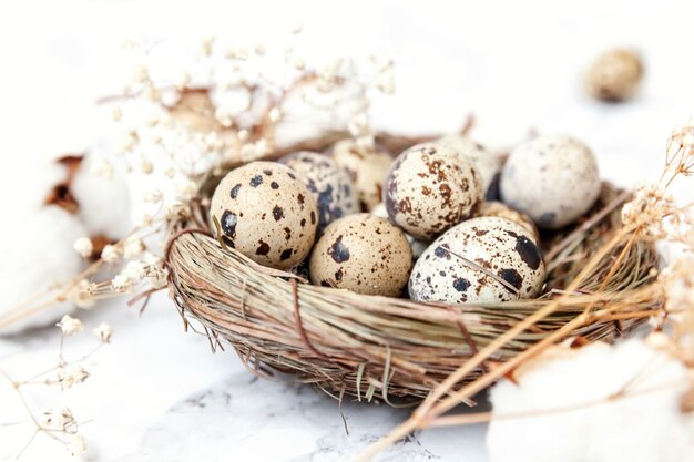 Decorazione di Pasqua con uovo nel nido e cotone su sfondo bianco marmo