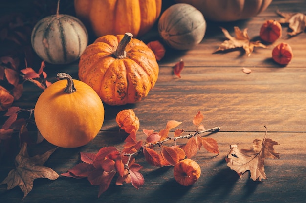 Decorazione di sfondo del Ringraziamento e dell'autunno con diverse zucche e foglie secche su fondo di legno