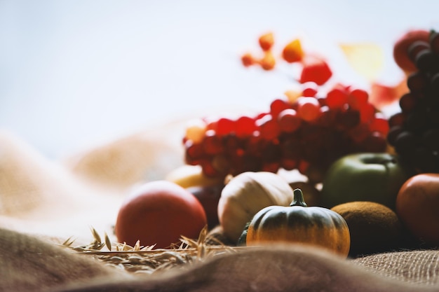 Decorazione e sfondo del ringraziamento della Chiesa con sfondo di frutti e cereali bacche autunnali