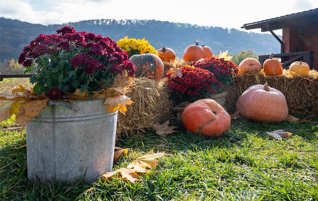 Decorazione esterna autunnale da fiori di zucca e fieno