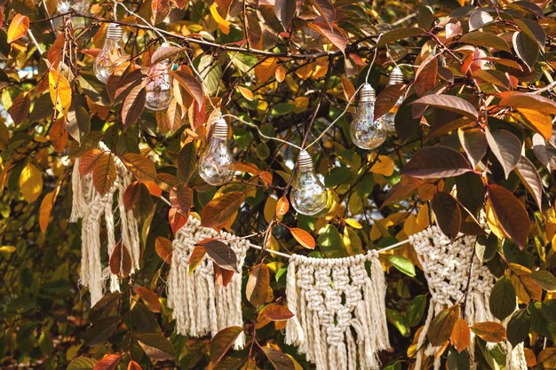 Decorazione minimalista di autunno su un albero giallo con le lampadine e la ghirlanda del macramè.