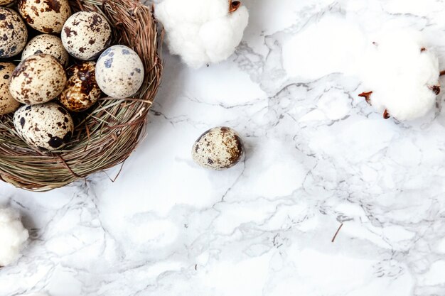 Decorazione pasquale con uovo nel nido e cotone su tavola in marmo bianco