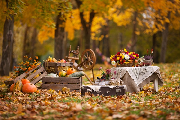 Foto decorazioni autunnali in giardino. zucche che si trovano in scatola di legno sul fondo di autunno.