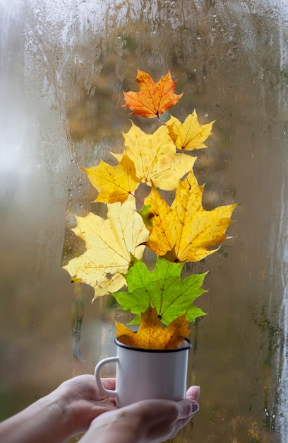 Decorazioni autunnali sul davanzale Fox cup zucche noci foglie autunnali e finestra simbolo della stagione autunnale casa accogliente composizione