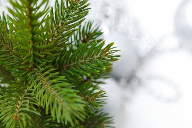 Decorazioni di natale con le bagattelle isolate su bianco