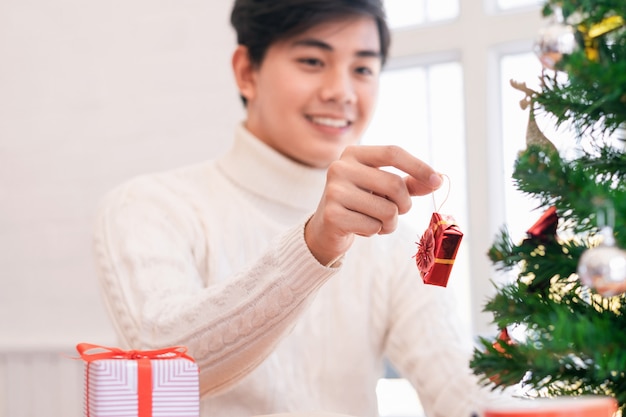 Decorazioni di Natale e Capodanno.