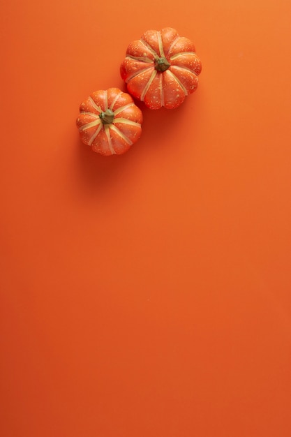 Decorazioni di zucche su carta arancione