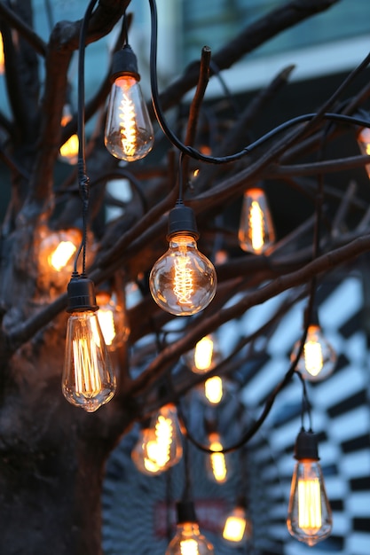 Decorazioni luminose sull&#39;albero