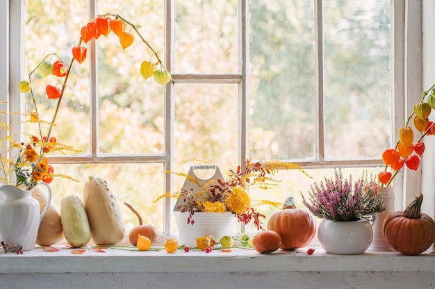 Decorazioni naturali autunnali con zucche e bacche di sorbo su sfondo bianco