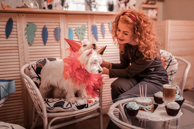 Decorazioni sui cani. Un'adorabile proprietaria dai capelli rossi che mette alcune decorazioni sui suoi simpatici cani