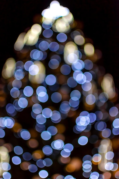 Defocuslight luci blu sulle luci blu del bokeh dell'albero