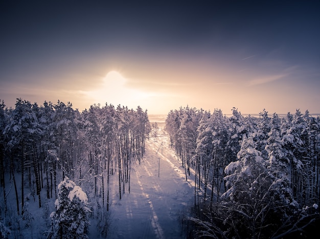 Deforestazione per linee elettriche Vista aerea da drone Foresta invernale e alberi nella neve Giornata di sole