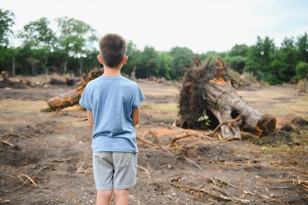 Deforestazione Un ragazzo triste si trova nel mezzo di una foresta tagliata