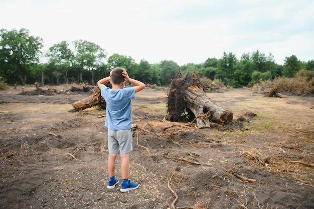 Deforestazione Un ragazzo triste si trova nel mezzo di una foresta tagliata