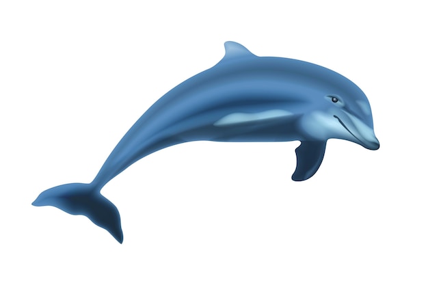 Delfino Di Salto Isolato