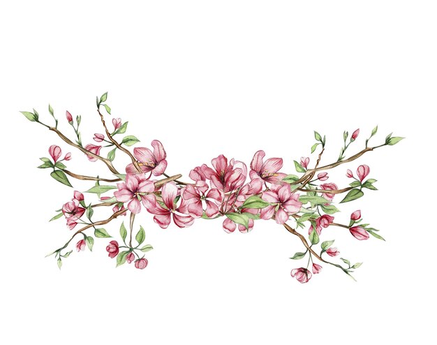 Delicate composizioni di fiori di sakura rosa disegnate a mano con acquerello