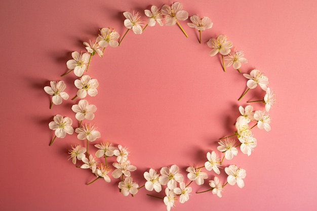 Delicate ghirlande di fiori di ciliegio su rosa