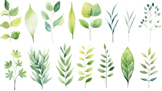 Delicate Watercolor Greenery Collection for Wedding Greeting Cards AI Generated