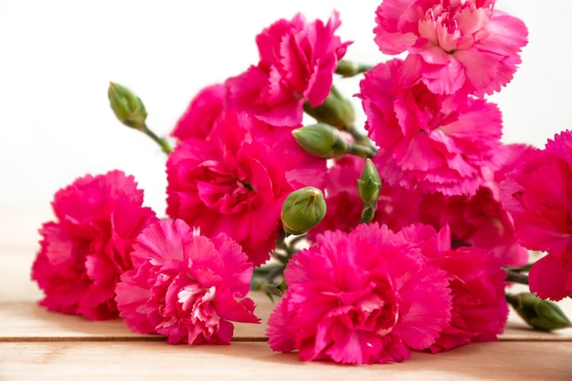 Delicati fiori di garofano rosa chiaro