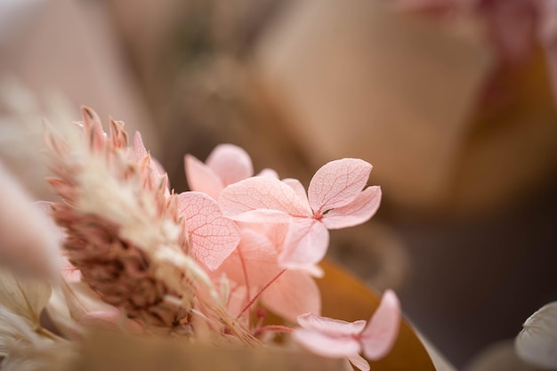 Delicati fiori di ortensia rosa da vicino