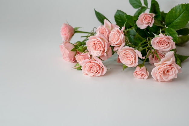 Delicato bouquet di rose rosa su sfondo chiaro