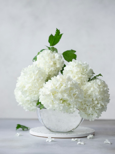 Delicato bouquet primaverile di Viburnum opulus in un vaso rotondo di vetro. concetto di arredamento per la casa. immagine verticale. Muro grigio