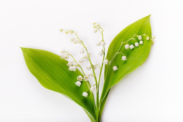 Delicato bouquet romantico di piccoli mughetti bianchi su fondo bianco