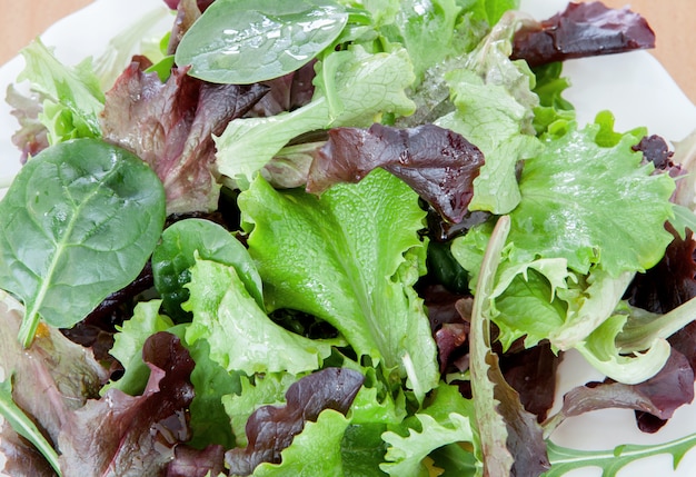 Deliziosa insalata di diversi tipi di foglie di lattuga