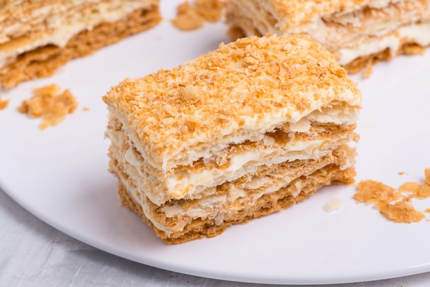 Deliziosa torta al cioccolato su un piatto bianco