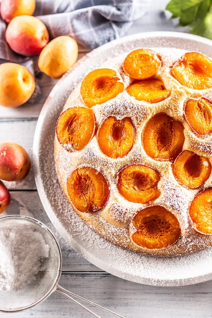 Deliziosa torta di albicocche cosparsa di zucchero in polvere sul tavolo da giardino