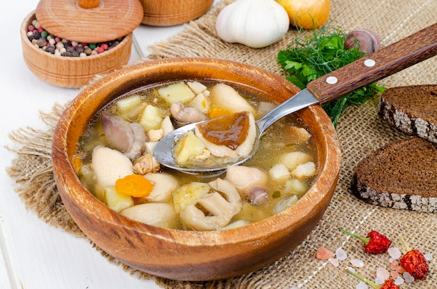 Deliziosa zuppa fatta in casa con funghi selvatici. Foto dello studio.