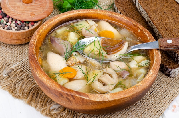 Deliziosa zuppa fatta in casa con funghi selvatici. Foto dello studio.