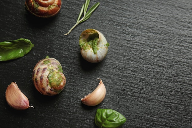 Deliziose lumache in salsa verde con erbe aromatiche e aglio sul tavolo scuro