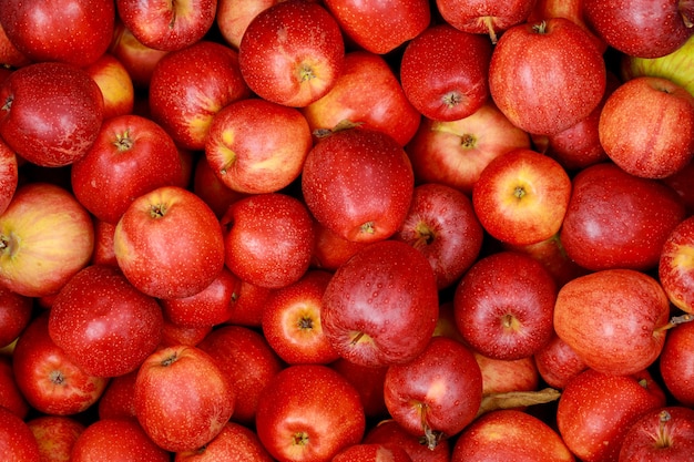 Deliziose mele rosse. Vista dall'alto.