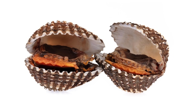Deliziose vongole bollite o al vapore isolate su sfondo bianco