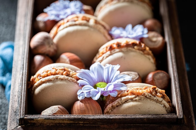 Deliziosi e freschi amaretti alle nocciole e noci